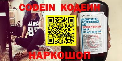 индика Сланцы