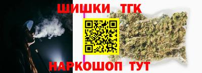индика Сланцы