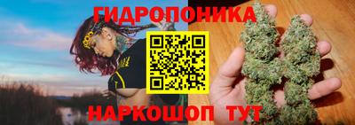 соль ск Славгород