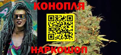 индика Сланцы