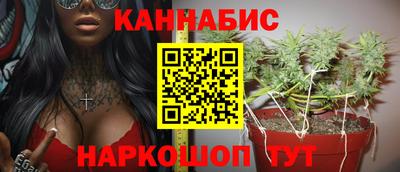 индика Сланцы