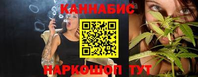 индика Сланцы