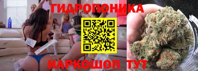 индика Сланцы