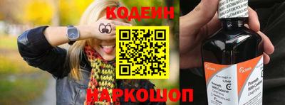 индика Сланцы