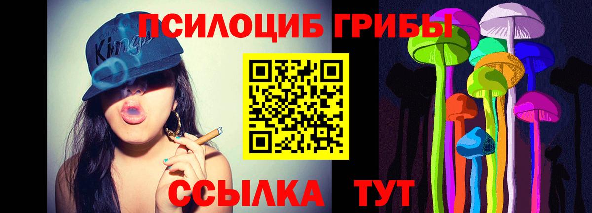 Галлюциногенные грибы Magic Shrooms  купить наркоту  Вход с VPN  Партизанск  Псилоцибиновые грибы прущие грибы 